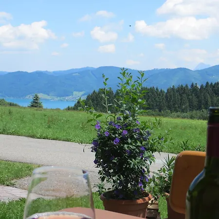Ferienwohnung Brigitte Perner Nussdorf am Attersee Exterior foto