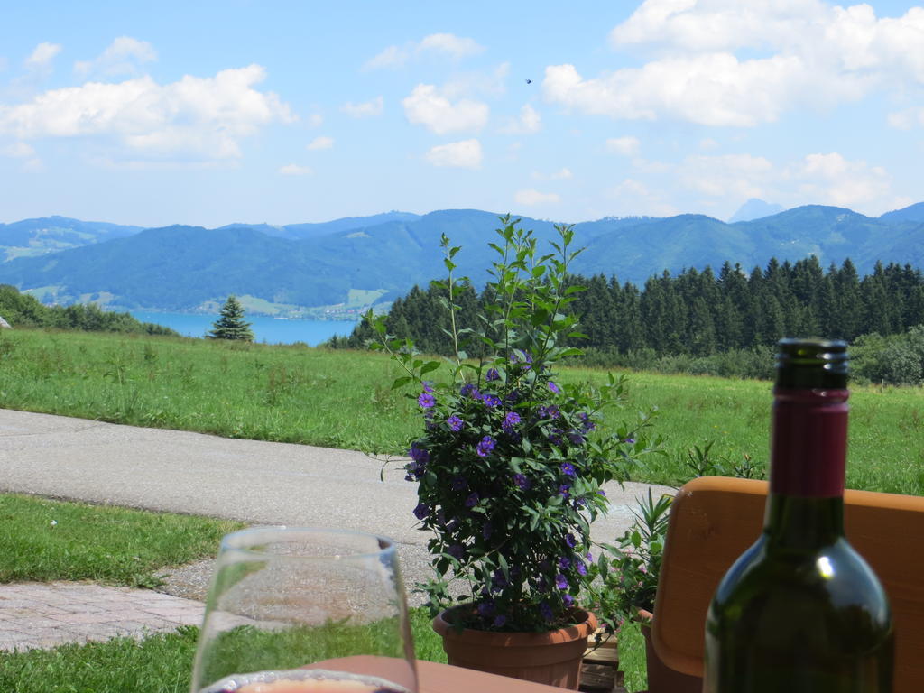 Brigitte Perner Nussdorf am Attersee